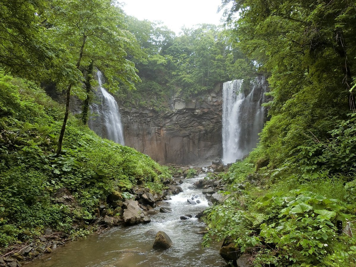 🏞️ 국영 다키노 스즈란 구릉공원 이미지 6
